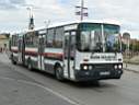 Alba_GMY-396_3.JPG