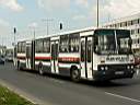 Alba_GMY-396_4.JPG