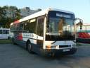 Alba_GSA-464_2.JPG