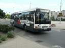 Alba_GSA-465_2.JPG