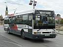 Alba_GSA-465_3.JPG