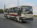 Alba_GVP-948_4.JPG