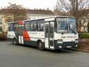 Alba_GVP-948_6.JPG