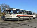 Alba_GVP-950_3.JPG