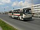 Alba_GVP-951_3.JPG