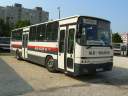 Alba_GVP-953_2.JPG