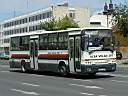 Alba_GVP-953_4.JPG