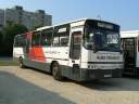 Alba_HFF-763_3.JPG