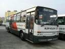 Alba_HIV-352_2.JPG