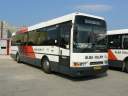 Alba_HKF-156_3.JPG