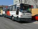 Alba_HOG-470_3.JPG