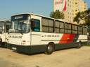 Alba_HOG-470_4.JPG