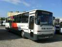 Alba_HOG-472_2.JPG