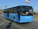 Alba_IBC-975_2.JPG