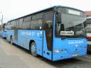 Alba_IBC-990_2.JPG