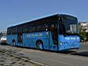 Alba_IBC-990_4.JPG