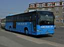 Alba_IES-033_3.JPG
