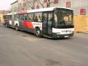 Alba_IIP-891_5.JPG