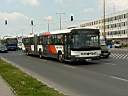 Alba_IIP-891_6.JPG
