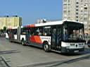 Alba_ITY-754.JPG