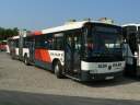 Alba_ITY-756_2.JPG