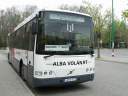 Alba_JFH-773.JPG