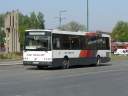 Alba_JFH-773_4.JPG
