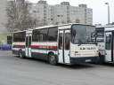 Alba_JHZ-325.JPG