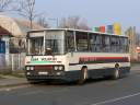 Alba_JHZ-331.JPG