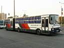 Alba_JHZ-333_2.JPG