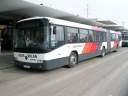 Alba_JIW-433.JPG