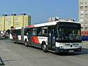 Alba_JIW-433_2.JPG