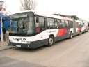 Alba_JIW-682_2.JPG