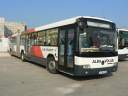 Alba_JIW-682_3.JPG