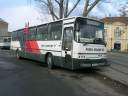 Alba_JMF-660.JPG