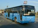 Alba_JMF-663.JPG