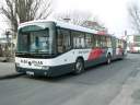 Alba_JUD-102_2.JPG