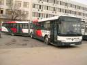 Alba_JUD-102_3.JPG