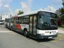 Alba_JUD-102_5.JPG