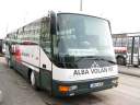 Alba_JWU-495_1.JPG