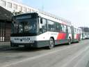Alba_JXF-380.JPG
