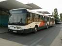 Alba_JXF-381.JPG