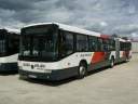 Alba_JXF-381_4.JPG