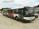 Alba_JXF-382_3.JPG