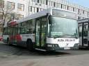 Alba_JYL-227_1.JPG