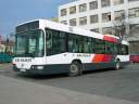 Alba_JYL-227_2.JPG