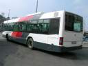 Alba_JYL-227_4.JPG