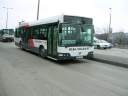 Alba_JYL-227_5.JPG