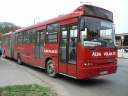 Alba_KBK-784.JPG