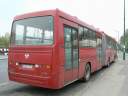 Alba_KBK-784_3.JPG